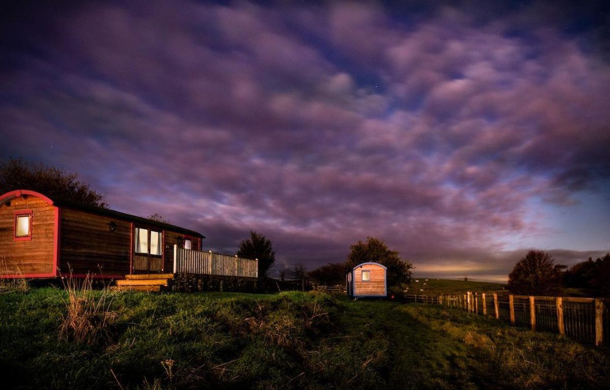 Berwick Upon Tweed Cow Parsley Shepherd'S Hut מראה חיצוני תמונה